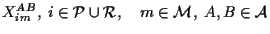 $X_{im}^{AB},\; i\in {\cal P}\cup {\cal R},\quad m\in{\cal M},\; A,B\in{\cal A}$