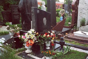 Посмотреть крупнее